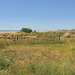 Relaxing By The Pine Forest Daire Bibione
