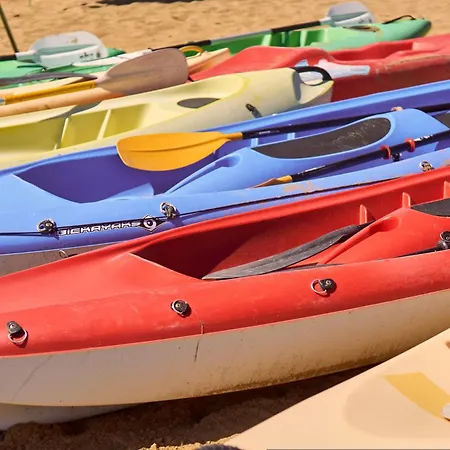 Relaxing By The Pine Forest דירה ביביונה