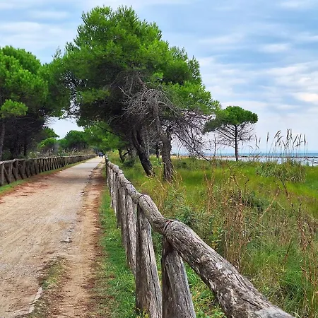 Apartment Adorable Seaside Flat For 4 Guests - Beahost Bibione
