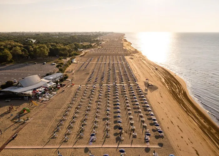 Relaxing By The Pine Forest Bibione